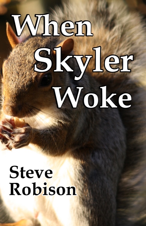 Cover of When Skyler Woke